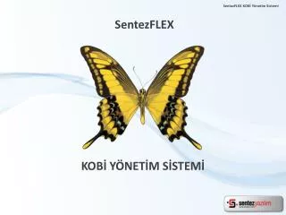SentezFLEX
