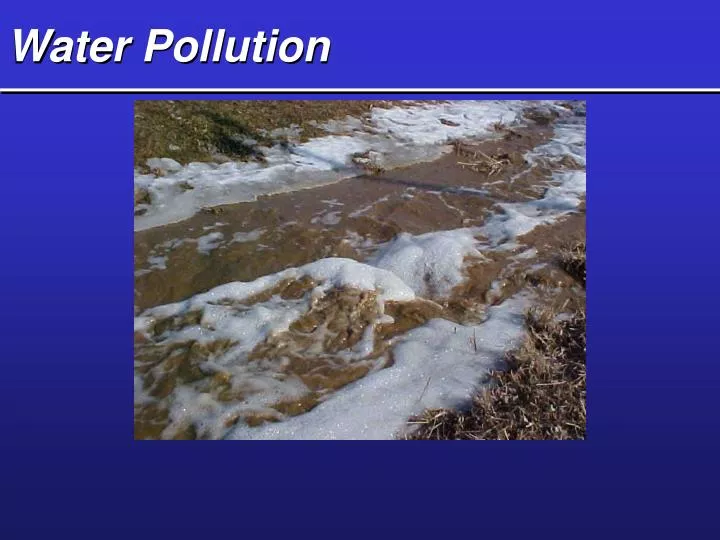 water pollution