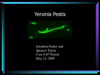 Yersinia Pestis