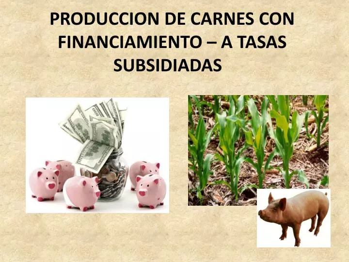 produccion de carnes con financiamiento a tasas subsidiadas