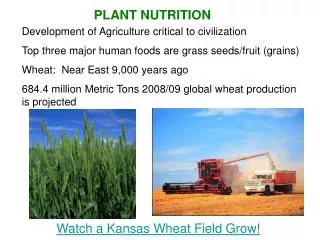 Watch a Kansas Wheat Field Grow!