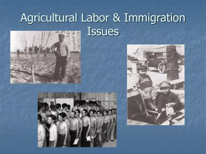 agricultural labor immigration issues