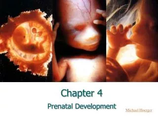 chapter 4