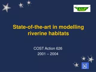 State-of-the-art in modelling riverine habitats