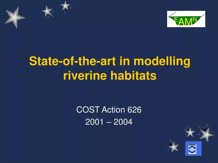 state of the art in modelling riverine habitats