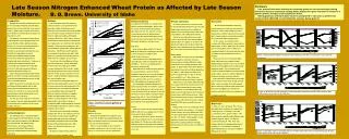 Late Season Nitrogen Enhanced Wheat Protein as Affected by Late Season Moisture. B. D. Brown. University of Idaho