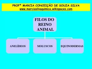 PROFª MARCIA CONCEIÇÃO DE SOUZA SILVA www.marciasilvaquimica.wikispaces.com