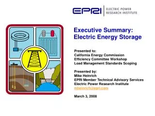 Executive Summary: Electric Energy Storage