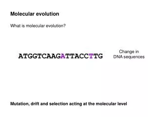 Molecular evolution What is molecular evolution? Mutation, drift and selection acting at the molecular level