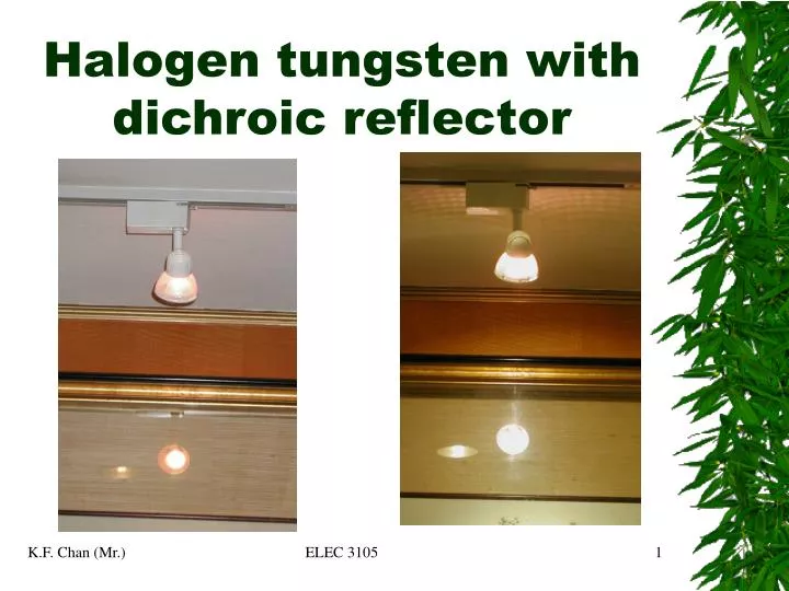 halogen tungsten with dichroic reflector