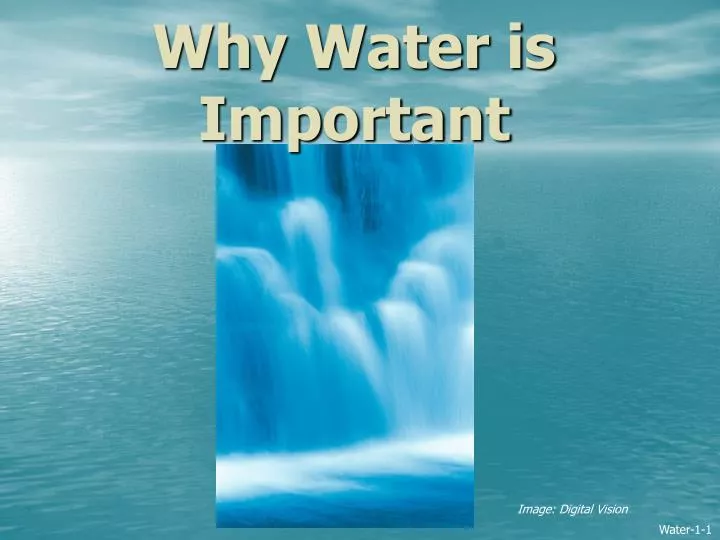 why water is important