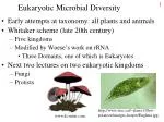 Eukaryotic Microbial Diversity - slide 1