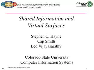 Shared Information and Virtual Surfaces Stephen C. Hayne Cap Smith Leo Vijayasarathy