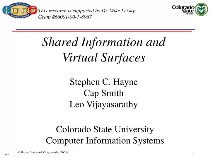 shared information and virtual surfaces stephen c hayne cap smith leo vijayasarathy
