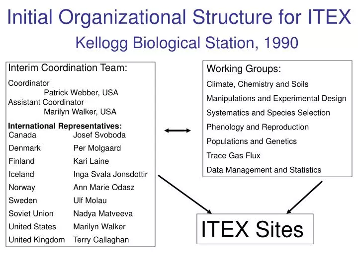 initial organizational structure for itex