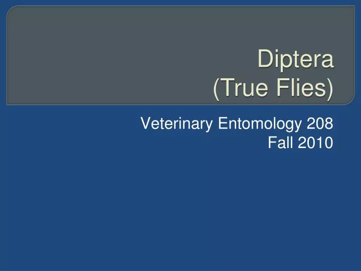 veterinary entomology 208 fall 2010