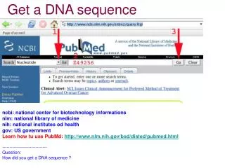 Get a DNA sequence