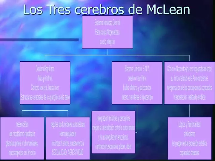 los tres cerebros de mclean