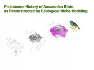 Pleistocene History of Amazonian Birds as Reconstructed by Ecological Niche Modeling