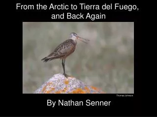 From the Arctic to Tierra del Fuego, and Back Again