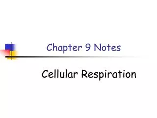 chapter 9 notes