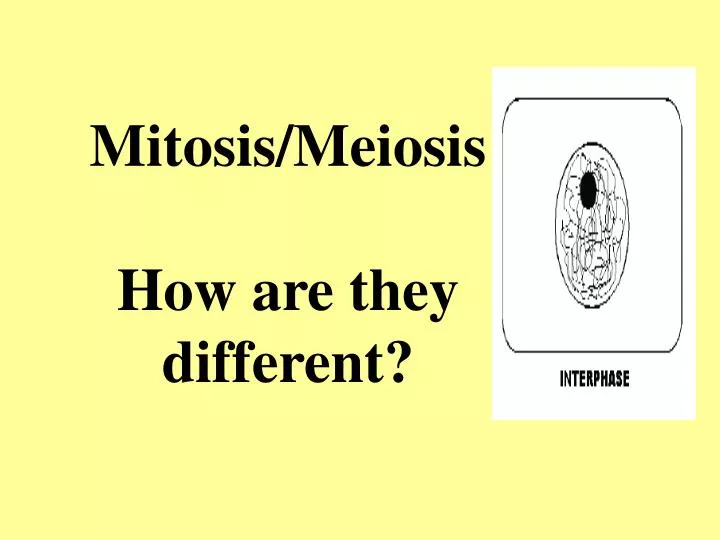 mitosis meiosis how are they different