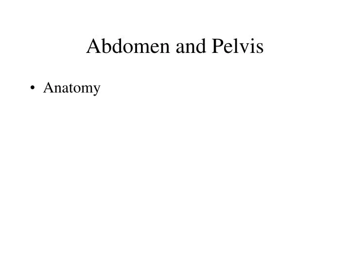 abdomen and pelvis