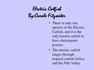 Electric Catfish By:Carole Fitzwater