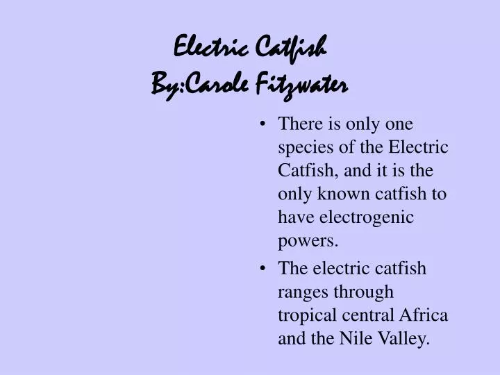 electric catfish by carole fitzwater