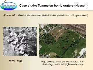 Case study: Tommelen bomb craters (Hasselt)