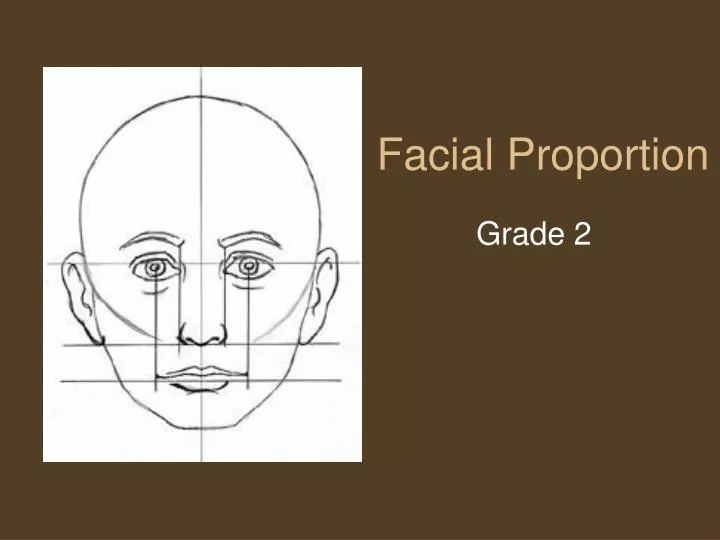 facial proportion