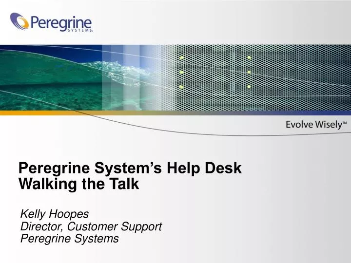 peregrine system s help desk walking the talk