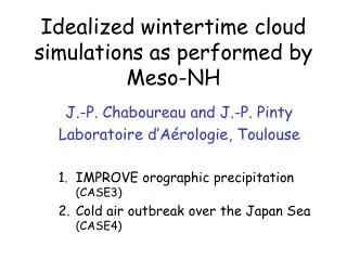 Idealized wintertime cloud simulations as performed by Meso-NH