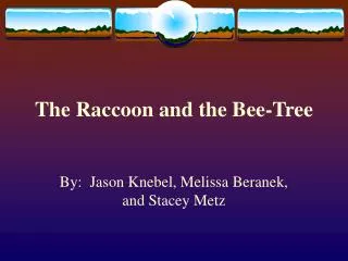 The Raccoon and the Bee-Tree