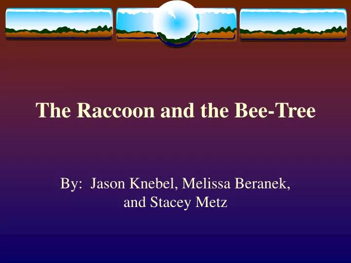 the raccoon and the bee tree
