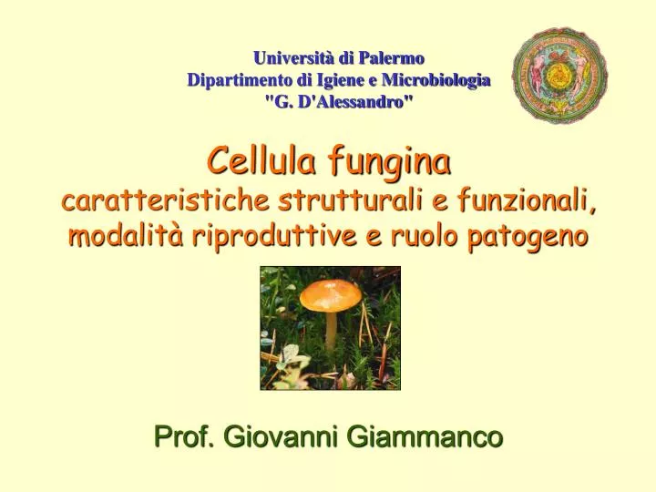 cellula fungina caratteristiche strutturali e funzionali modalit riproduttive e ruolo patogeno