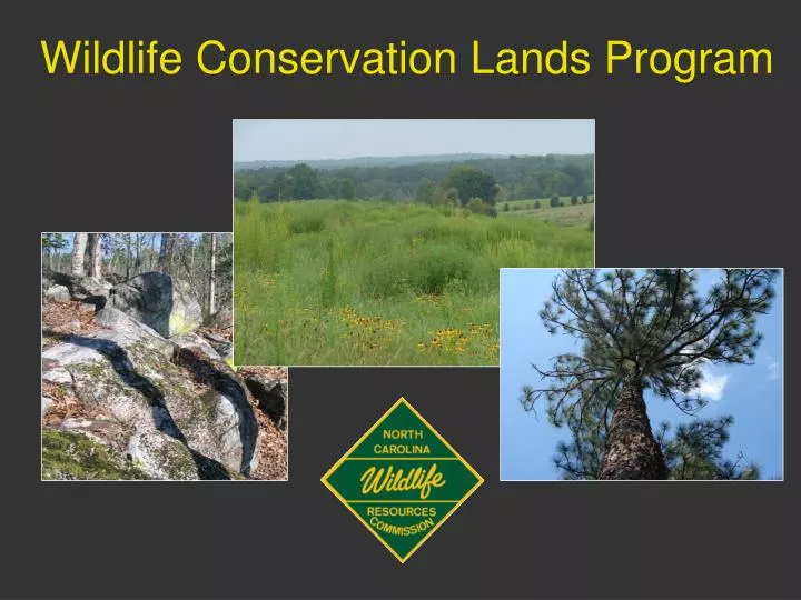 wildlife conservation lands program