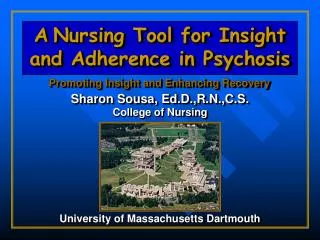 A Nursing Tool for Insight and Adherence in Psychosis