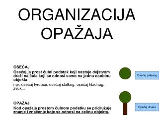 organizacija opa aja