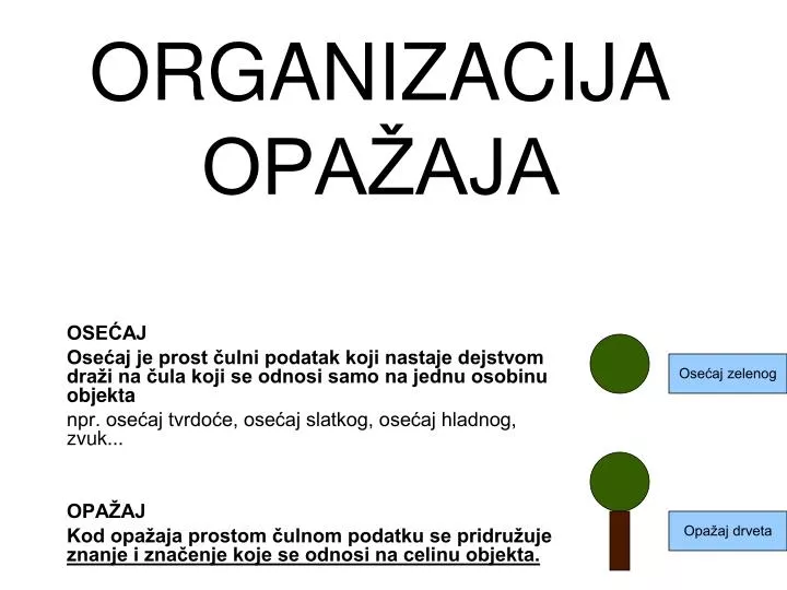 organizacija opa aja