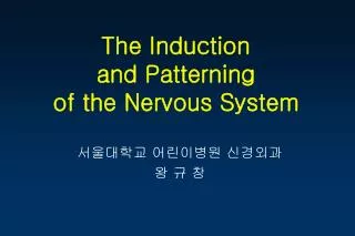 The Induction and Patterning of the Nervous System