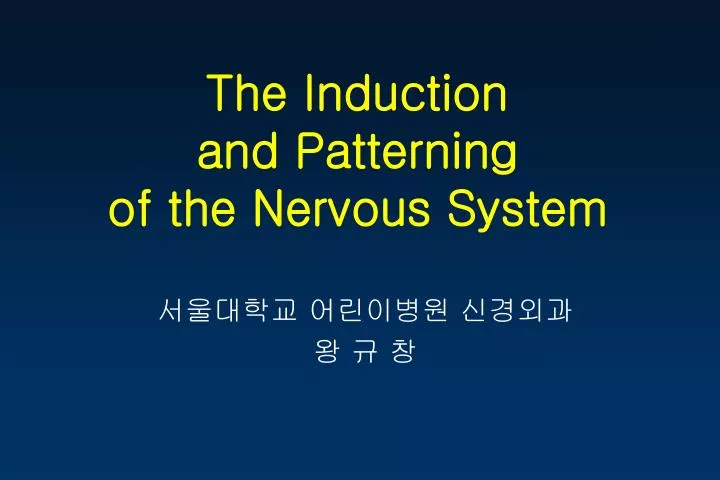 the induction and patterning of the nervous system
