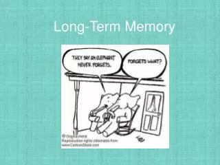 Long-Term Memory