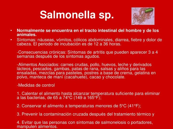 salmonella sp