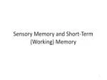 Sensory Memory and Short-Term (Working) Memory - slide 1