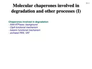 Molecular chaperones involved in degradation and other processes (I)