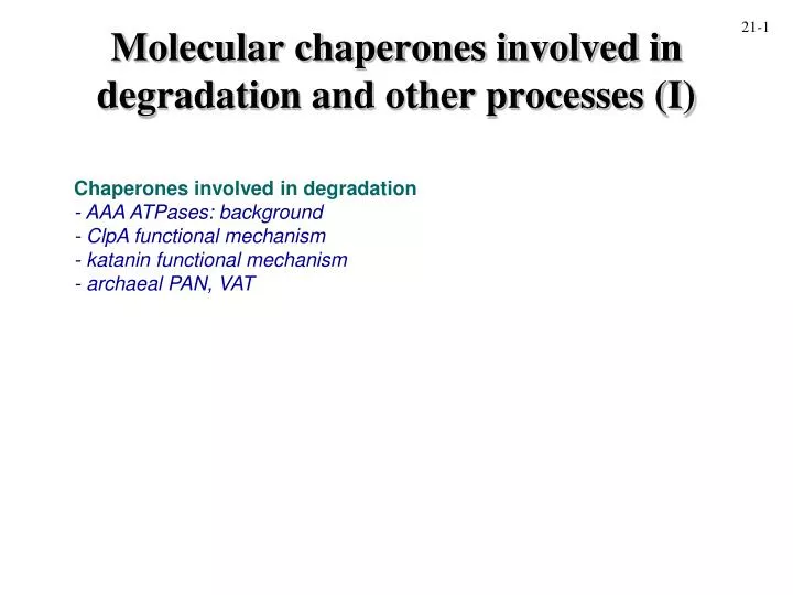 molecular chaperones involved in degradation and other processes i