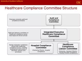 Healthcare Compliance Committee Structure