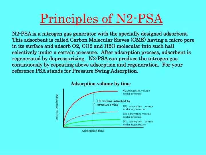 principles of n2 psa