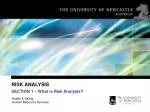 RISK ANALYSIS - slide 1
